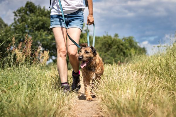 Wellbeing 101: self-care and stress relief for busy people
