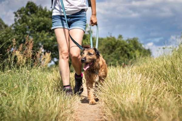 Wellbeing 101: self-care and stress relief for busy people