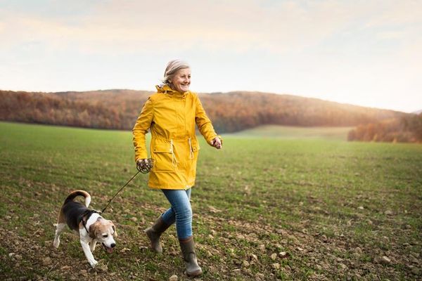 Step up your walks
