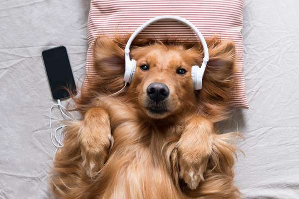 Five ways sound can help you sleep