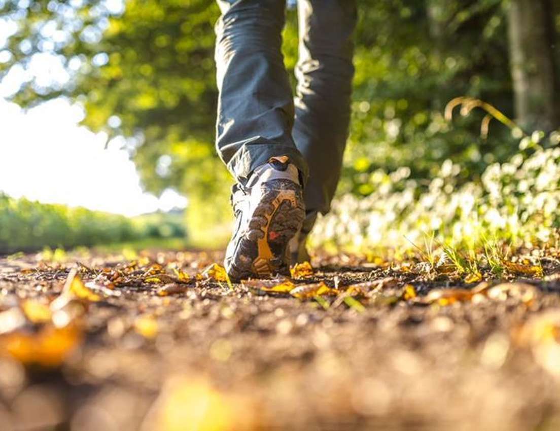 Low angle of a person's hiking boot stepping on an autumn forest path covered in brown leaves, with sunlight shining through 