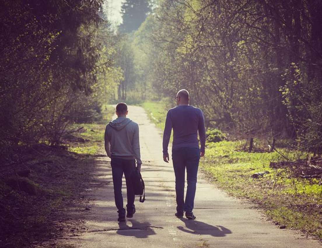 Two men walk away on a sunlit path through a lush green forest, casting shadows.