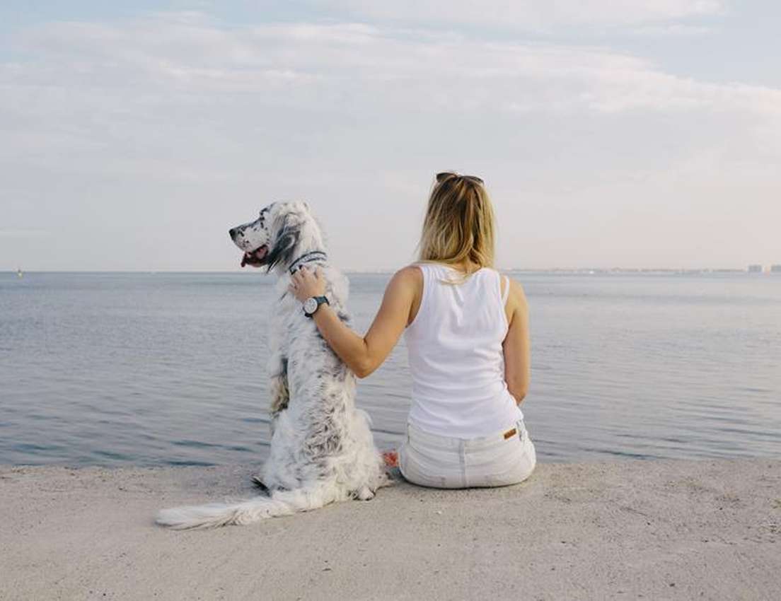 A woman in white sits with her dog, overlooking a calm ocean under a cloudy sky.
