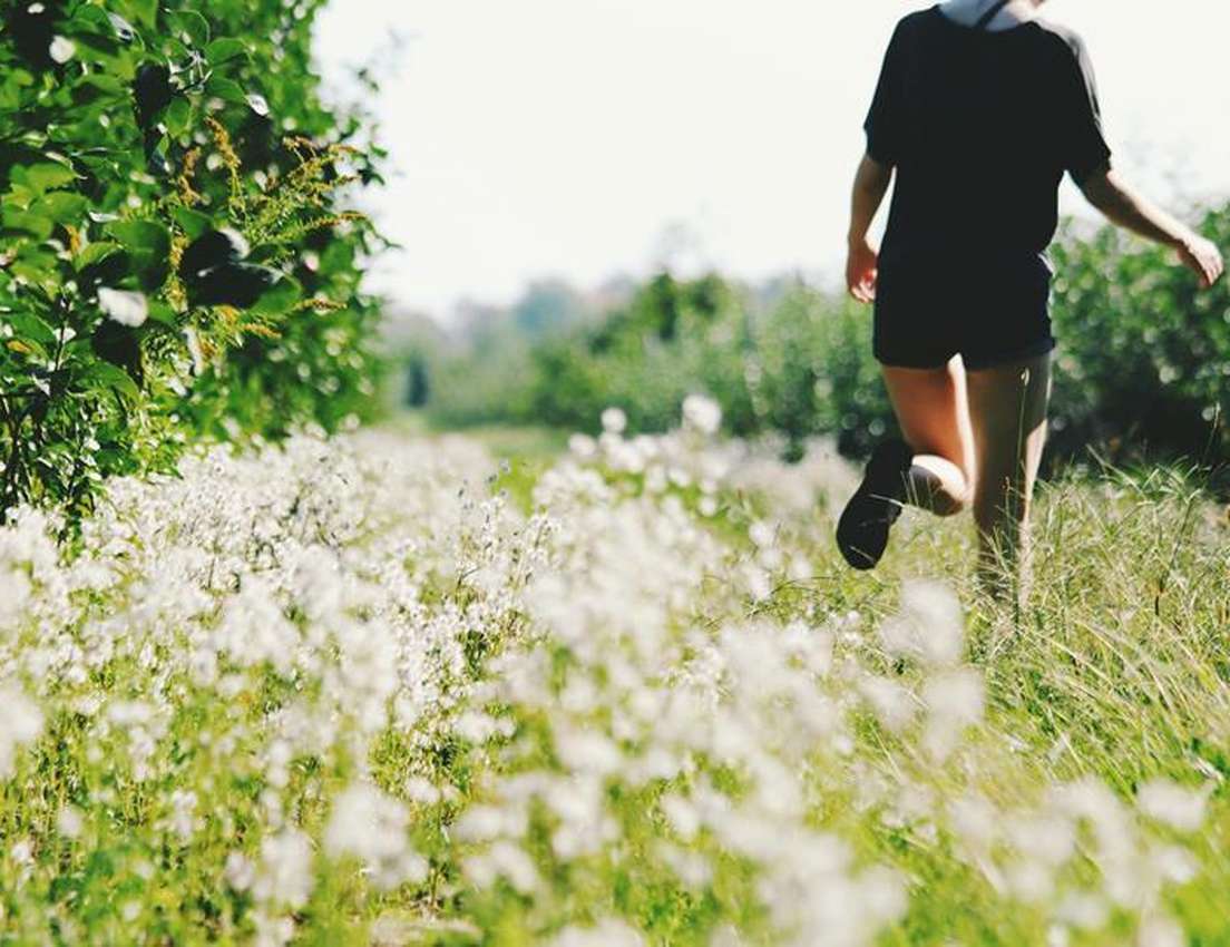 Person running through a sunlit meadow bordered by lush green foliage and white wildflowers.
