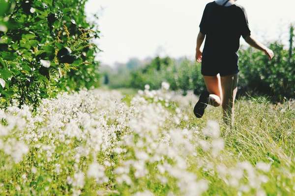 Summer health project: fitness