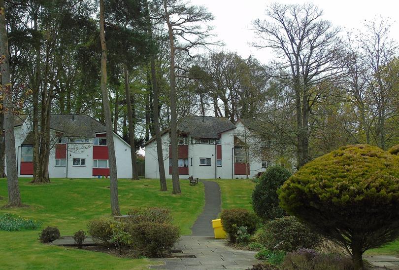 Two modern white and red houses are nestled among tall trees on a green lawn, with a winding path and garden shrubs in the foreground.