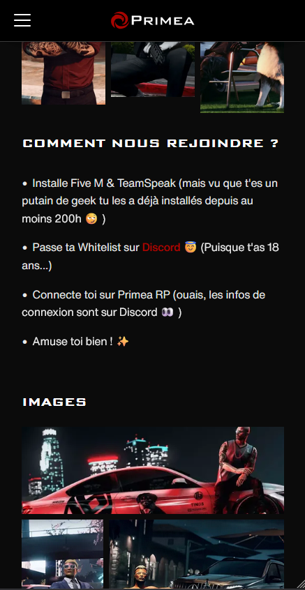 Primea RP — Site officiel du serveur GTA 5 RolePlay - Aperçu 2