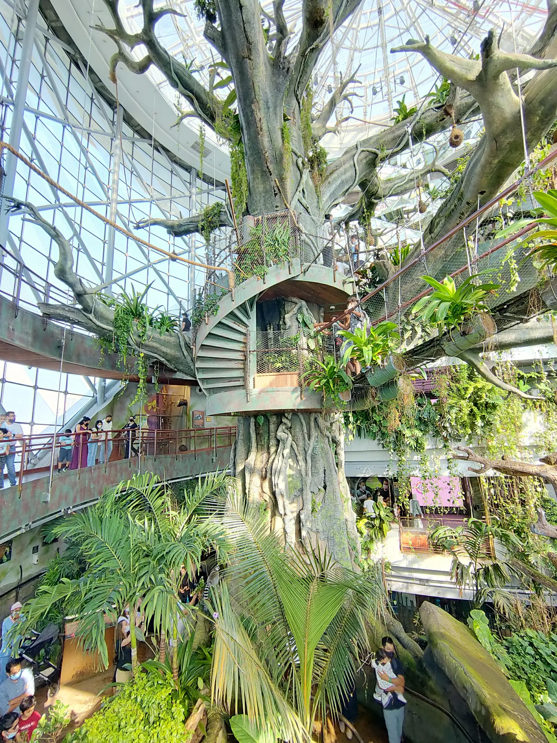 A large indoor tree with a spiral staircase and lush greenery, surrounded by a glass dome with people exploring the area below.