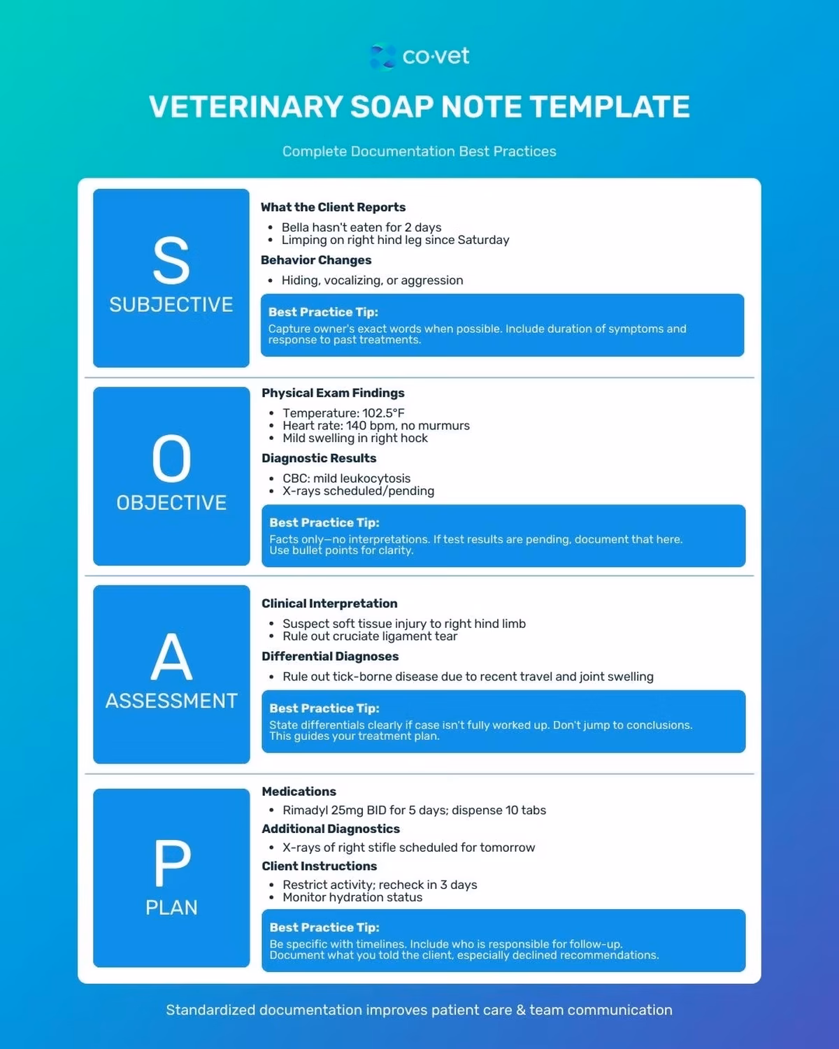 What Are Veterinary SOAP Notes? A Complete Guide for Every Clinic Role