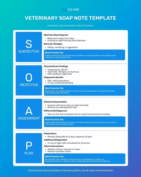 What Are Veterinary SOAP Notes? A Complete Guide for Every Clinic Role