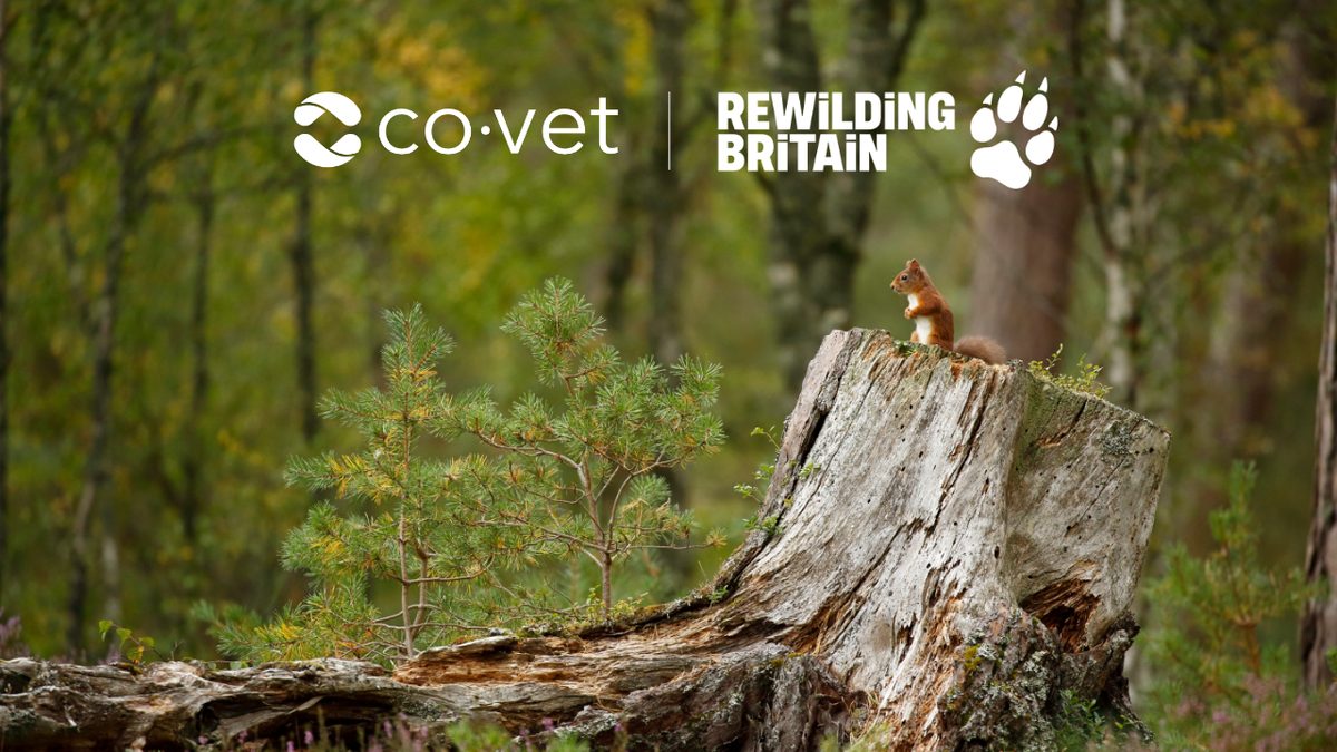 CoVet Partners with Rewilding Britain to Support Nature Recovery Across the UK
