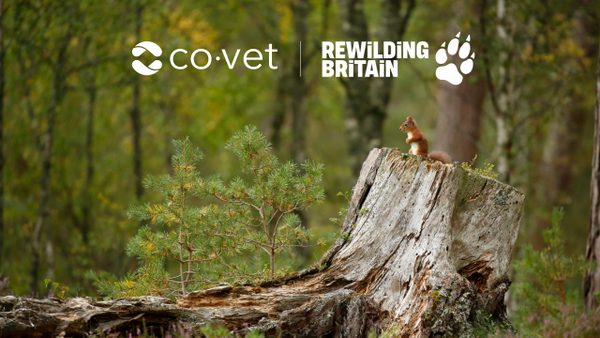 CoVet Partners with Rewilding Britain to Support Nature Recovery Across the UK