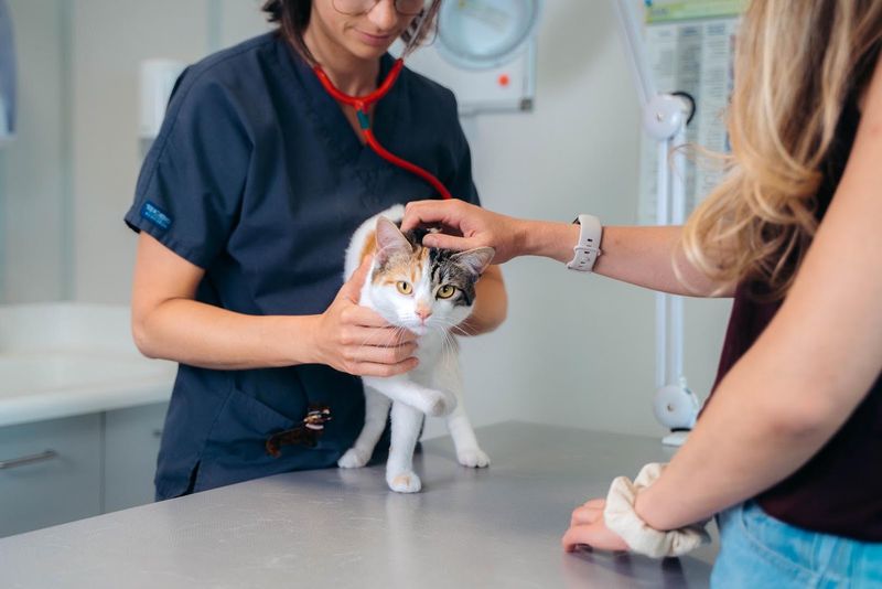 Transparens i kliniken