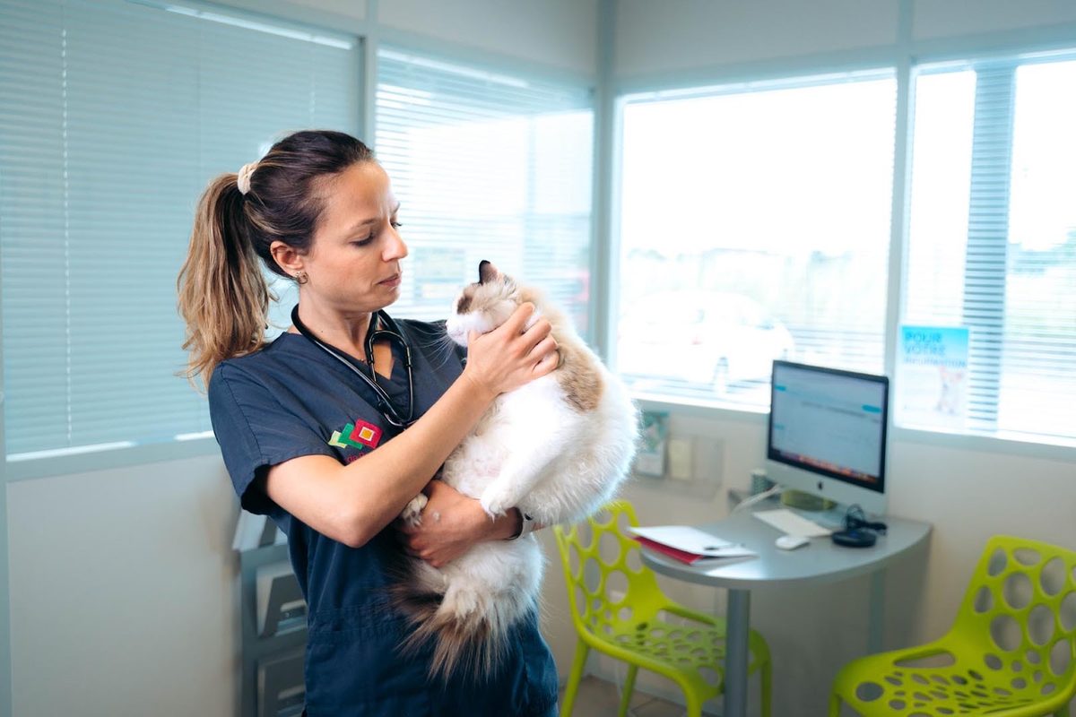 Veterinary AI at Enterprise and University Scale: What Buyers Should Demand