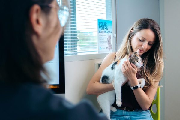 How AI Veterinary Scribes Actually Reduce Time on SOAP Notes