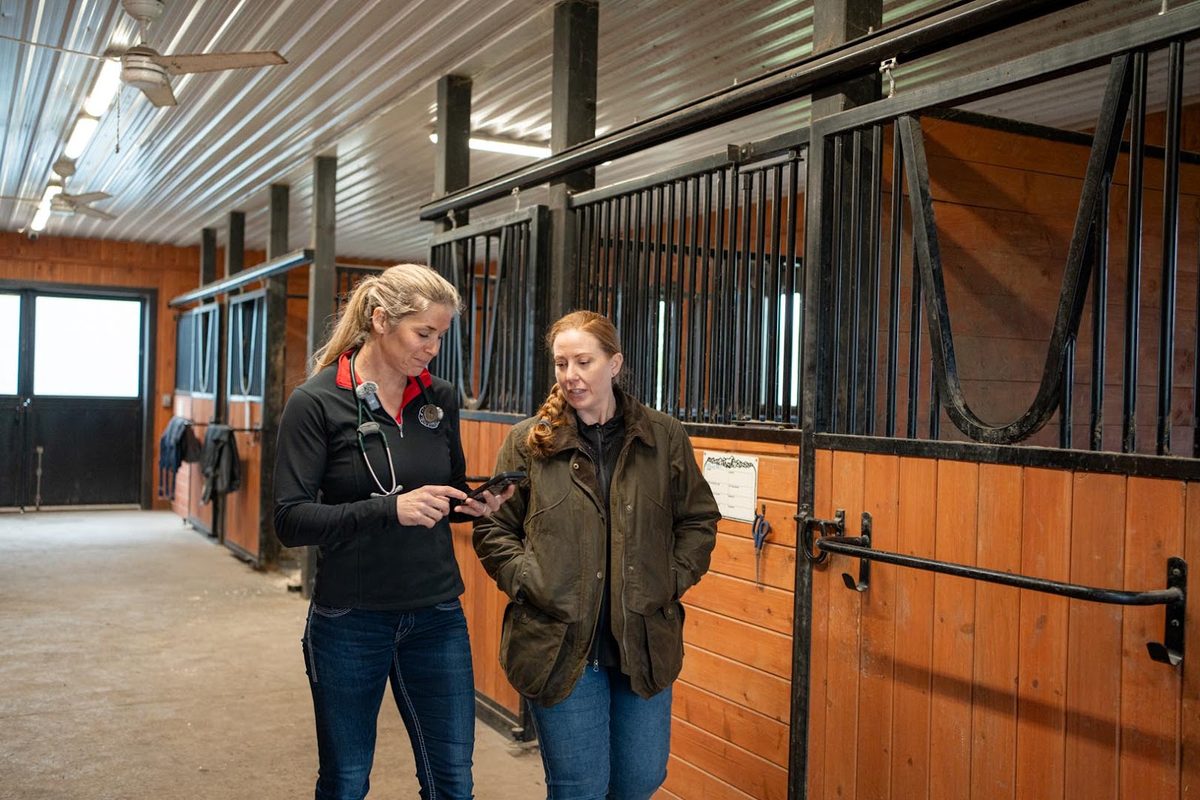 Why Clinical Excellence Must Be Built Into Veterinary AI