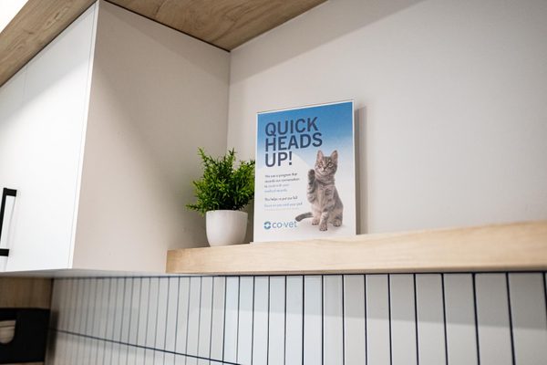 Recording Consent Laws in the US Your Veterinary Clinic Needs to Know