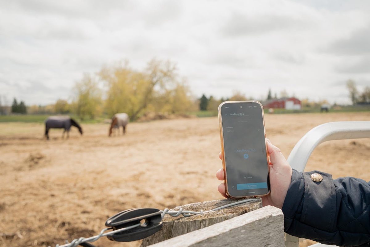 What Makes It Hard to Keep Veterinary Notes Accurate and Timely?
