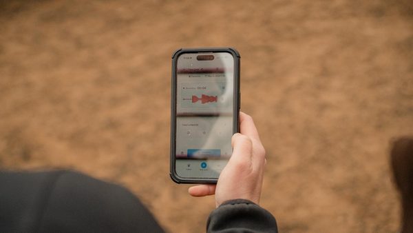 Veterinary AI Scribe Accuracy: What the Percentages Do and Do Not Prove
