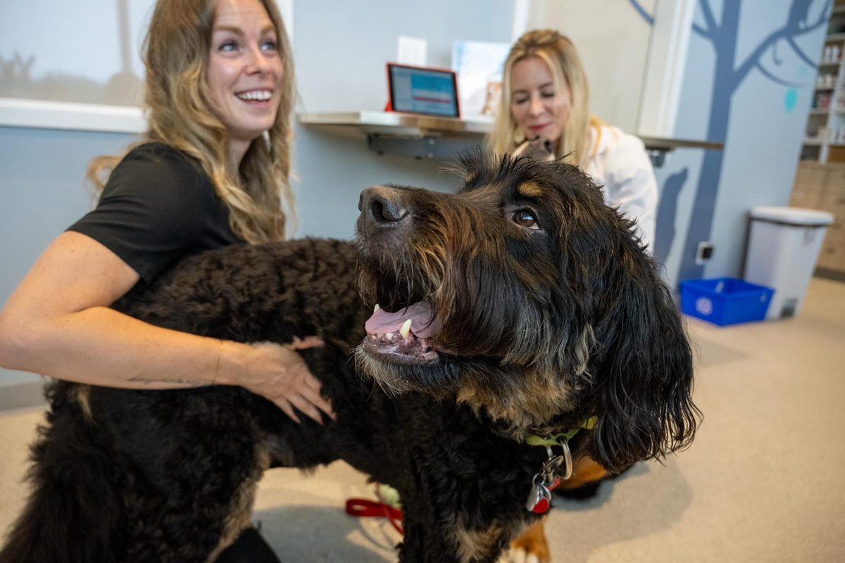 CoVet's In-House Medical Team Shares AI Predictions for Veterinary Practices in 2026