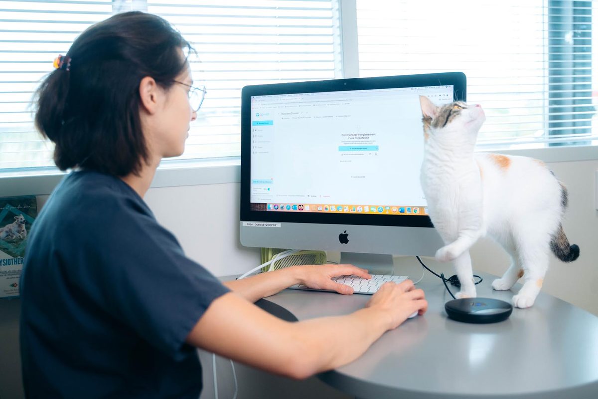 How to Summarize Veterinary Medical Records Before the Consult