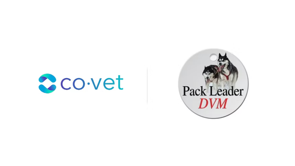 CoVet Launches Integration with Pack Leader DVM to Streamline documentation for Specialty and Referral Teams