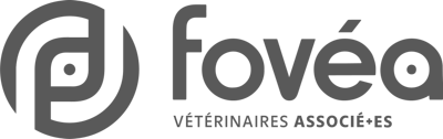 Fovea