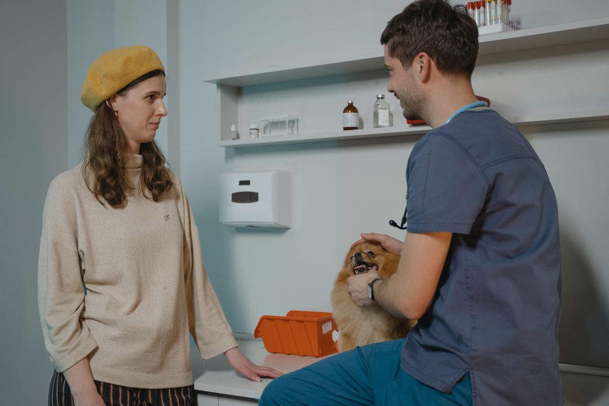 Délégation d'actes vétérinaires aux ASV : quelles obligations de traçabilité pour les cliniques ?
