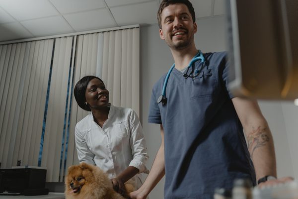 Veterinary new client form template