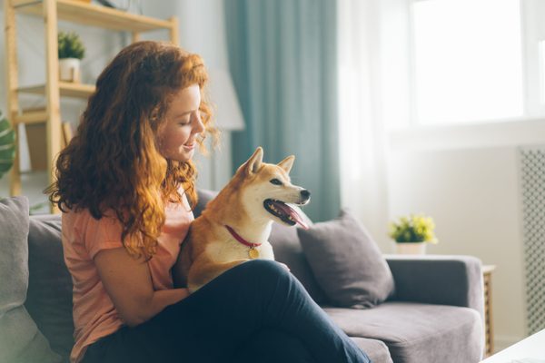 Lettre d’accompagnement pour cas référés vétérinaire : modèle, contenu essentiel et bonnes pratiques