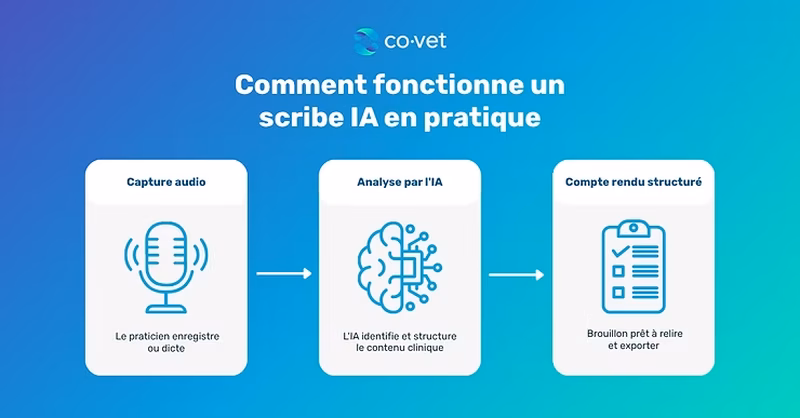 The graphic outlines a simple three-step workflow for medical professionals using AI transcription services.