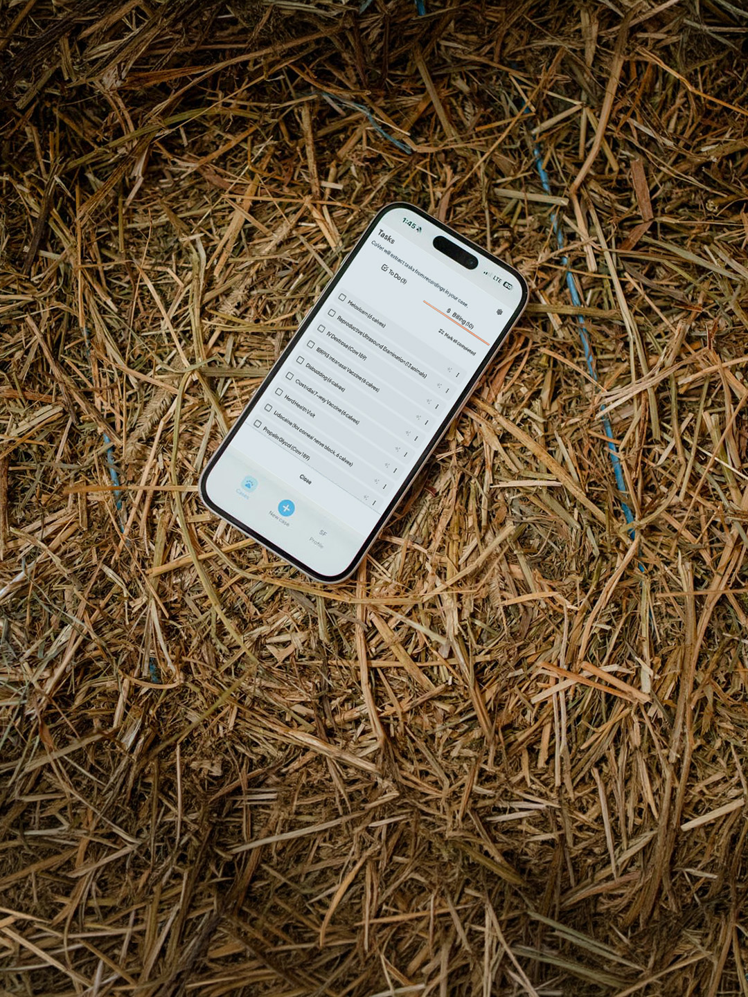 CoVet app open on a phone resting on straw during a field call
