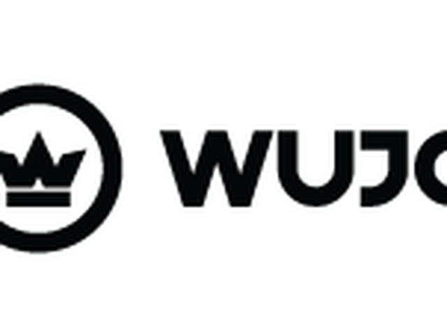 Wujo.pl: With Smartsupp we use one chat across several stores