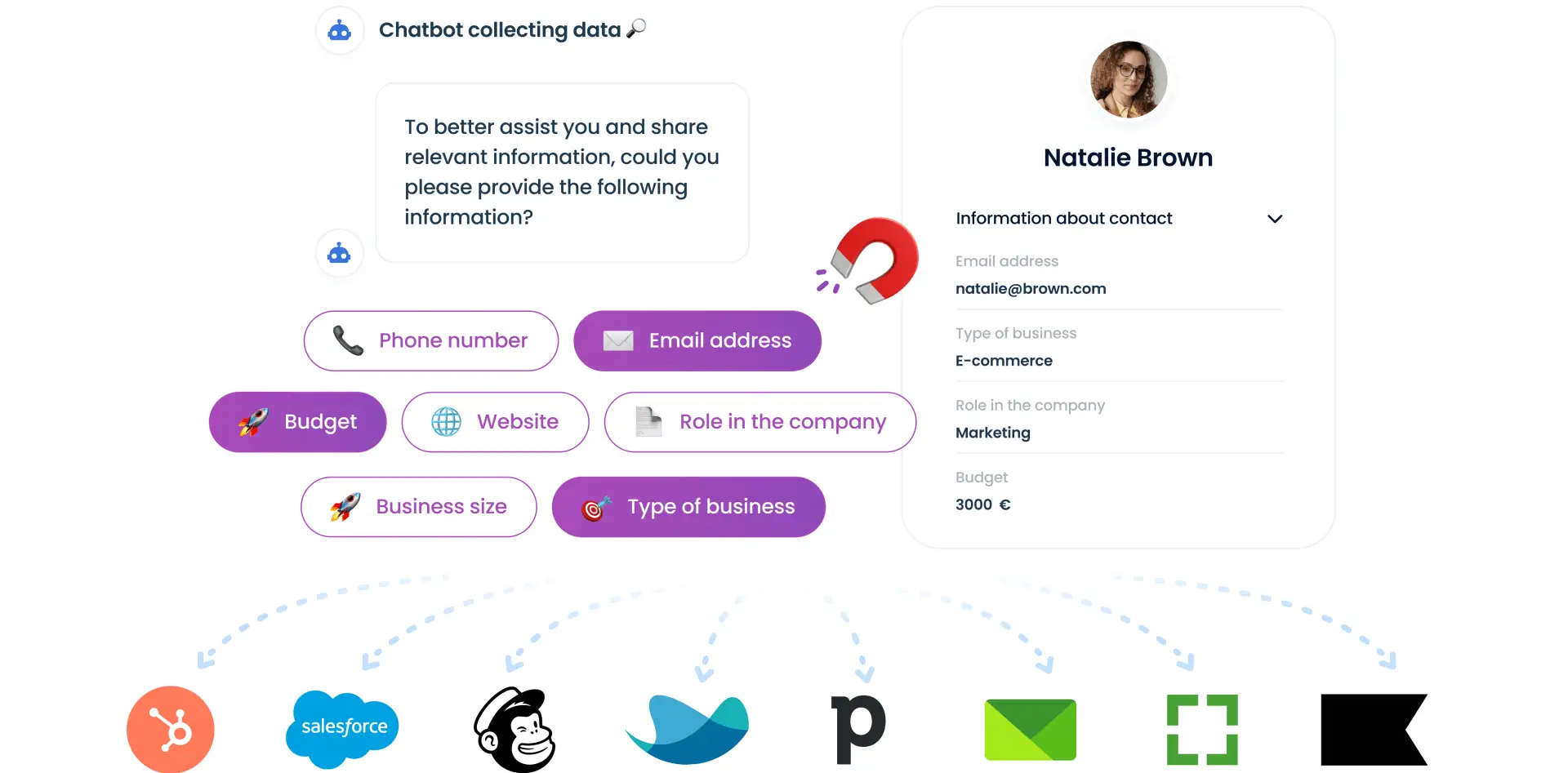 Chatbot collecting data