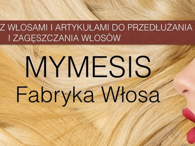 Mymesisfabrykawlosa.pl: Smartsupp recordings are the best way to understand customers