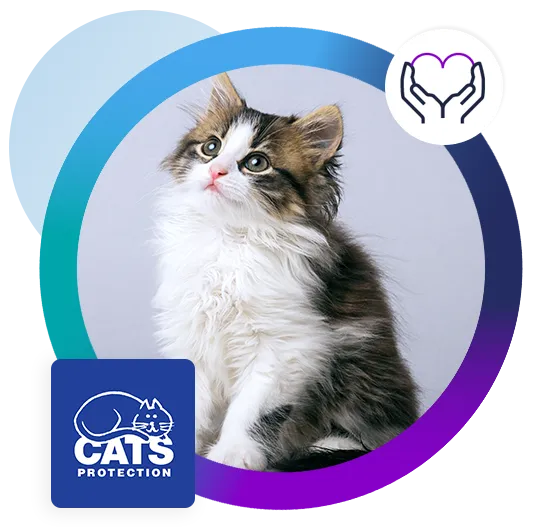 Cats Protection customer story