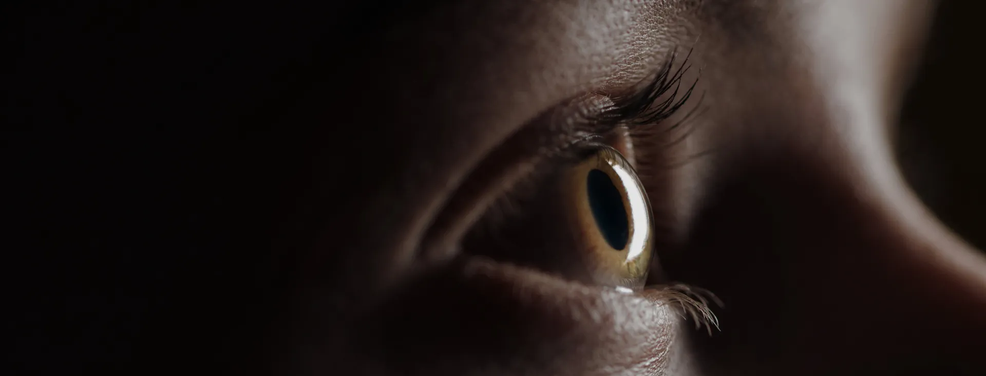 Apollo and Bertelsmann Marketing Services