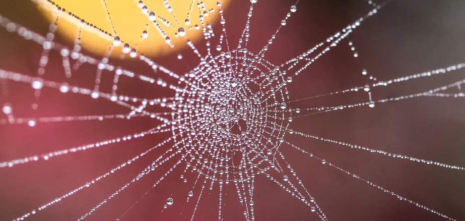 Blog - How to manage your CDP