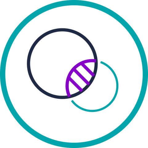 Introducing Venn diagrams to Orbit dashboards
