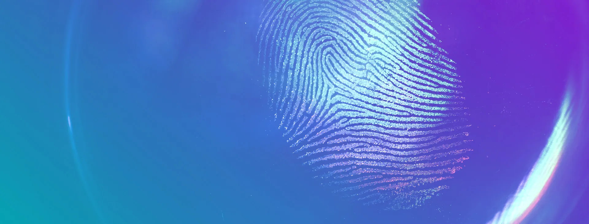 How first-party data helps you maximise marketing effectiveness with minimal customer data