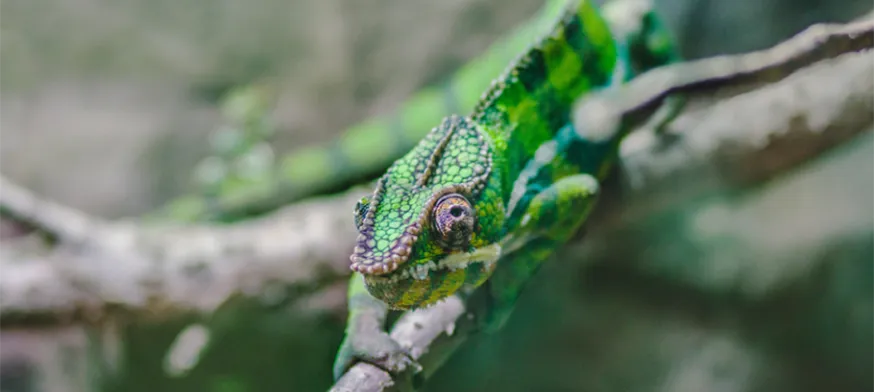 Wenn Marketing-Inhalte sich dem Kunden anpassen – getriggerte Kampagnen, die Ihren Kunden gefallen werden