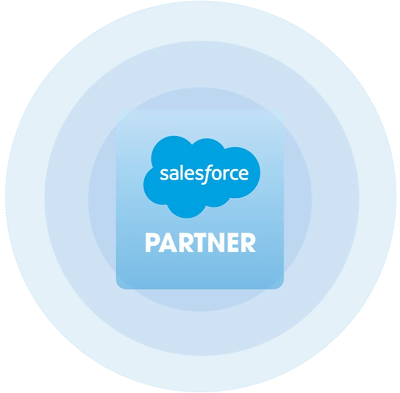 Salesforce partner badge