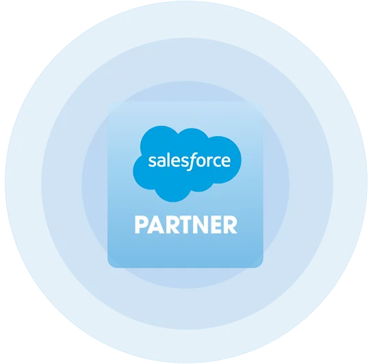 Salesforce partner badge
