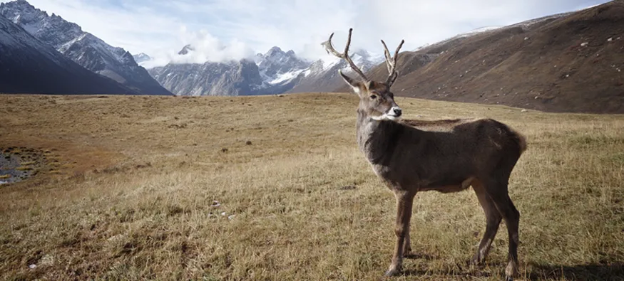 Data-driven Marketing á la Weihnachtswichtel