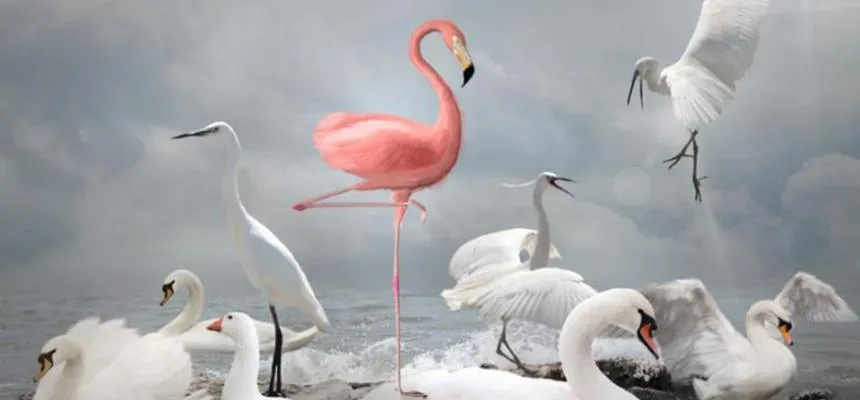 Hauptsache kundenzentriert: 44 Marketing Use Cases zum Nachmachen