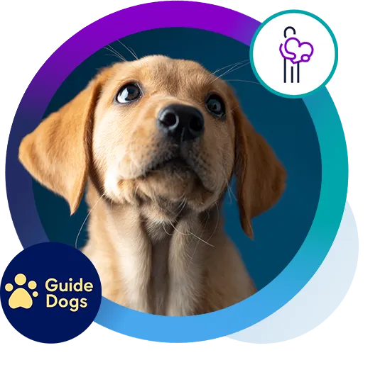 A golden retriever puppy with a hopeful expression against a blue background. Guide Dogs logo in the corner.