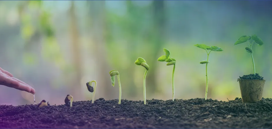 Lead nurturing