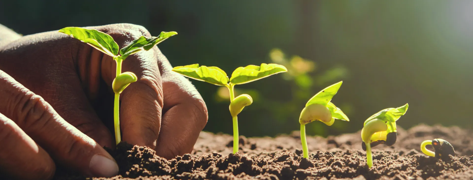 Blog - Analysing the customer lifecycle