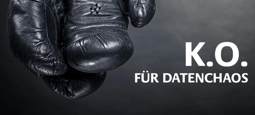 K.O. für Datenchaos in 4 Runden