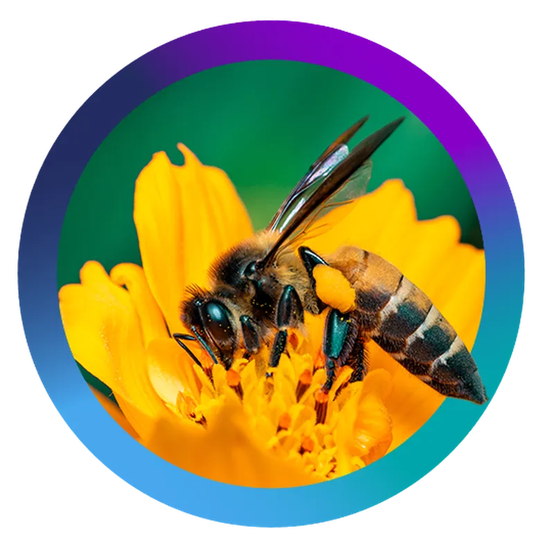 Extract the full value of Apteco software